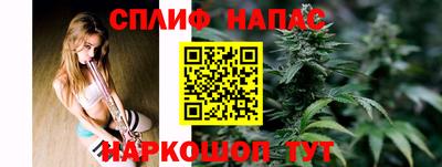 сатива Бузулук